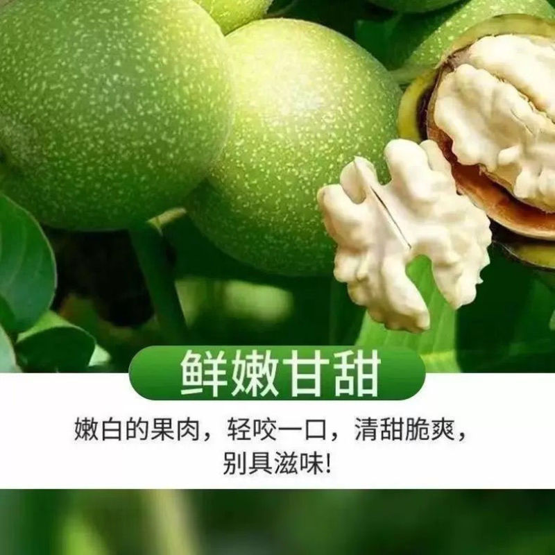 核桃