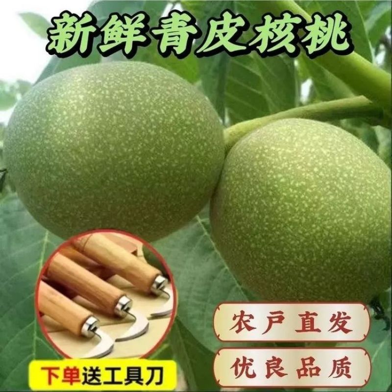 核桃