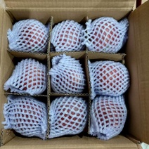 苹果电商一件发货拼多多～抖音不限量接单量大底价来拿