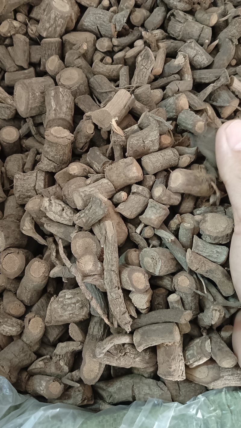 黑老虎根（中药材）品优价廉，欢迎老板来电咨询