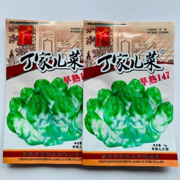 丁家儿菜早熟147种子秋播早熟四川拳头菜种籽高产重庆大