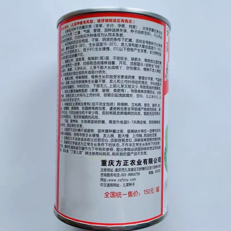 丁家儿菜种子早熟儿芽扁圆长形口感脆嫩儿菜种子早生娃儿菜种