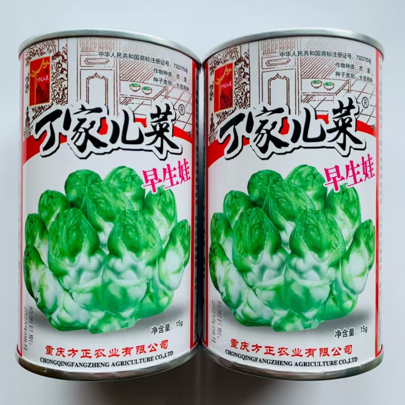 丁家儿菜种子早熟儿芽扁圆长形口感脆嫩儿菜种子早生娃儿菜种