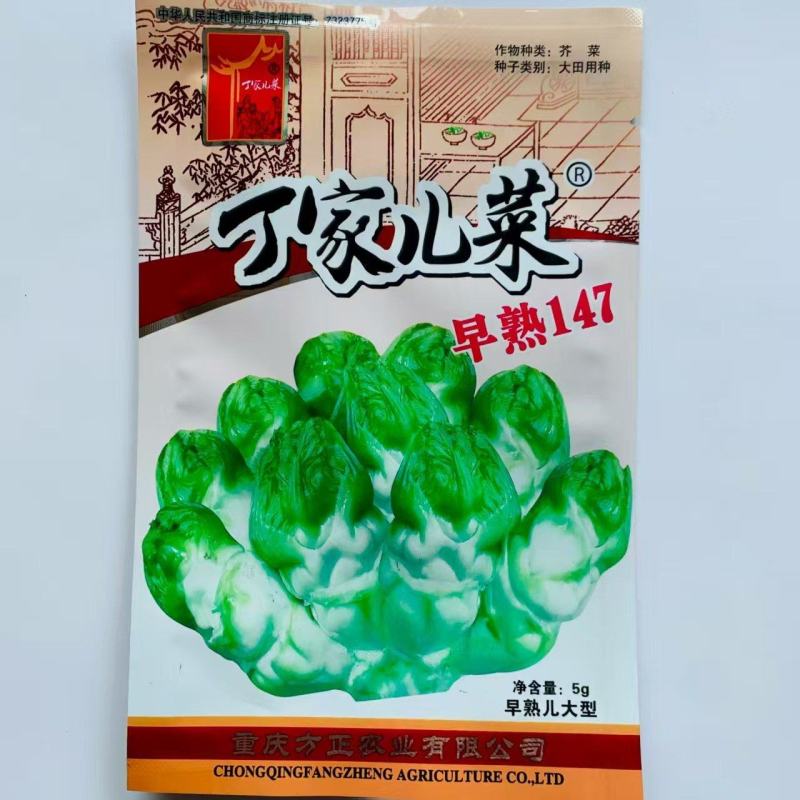 丁家儿菜早熟147种子秋播早熟四川拳头菜种籽高产重庆大