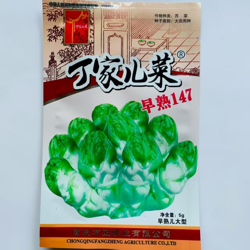 丁家儿菜早熟147种子秋播早熟四川拳头菜种籽高产重庆大