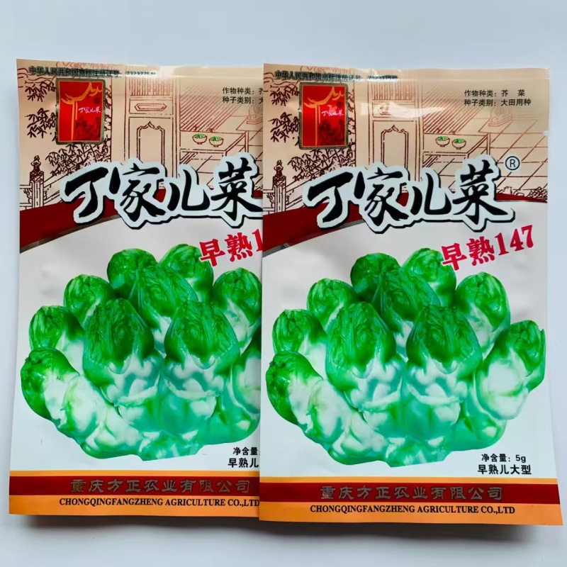 丁家儿菜早熟147种子秋播早熟四川拳头菜种籽高产重庆大