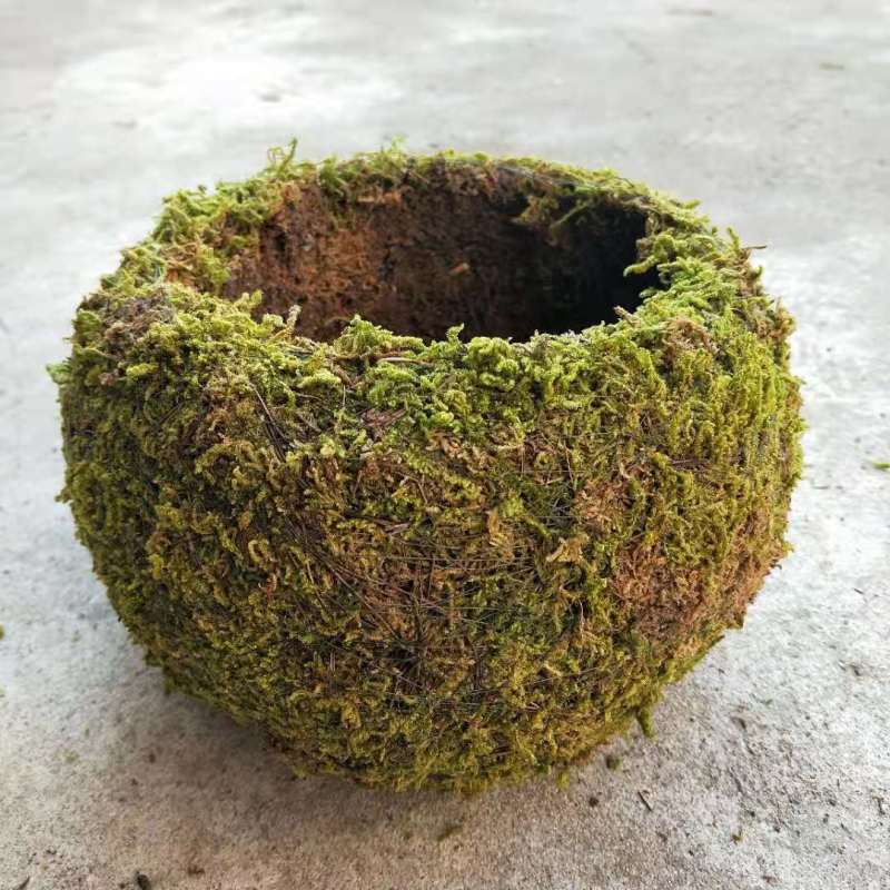 日式苔玉苔藓球苔藓花器创意石斛种植盆园艺盆栽家居