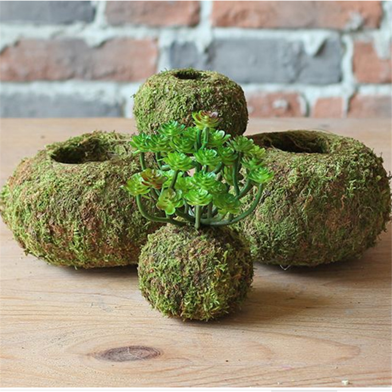 日式苔玉苔藓球苔藓花器创意石斛种植盆园艺盆栽家居