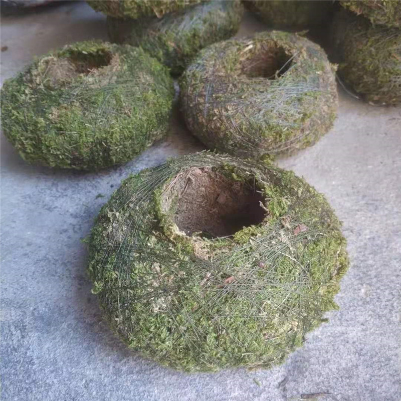 日式苔玉苔藓球苔藓花器创意石斛种植盆园艺盆栽家居