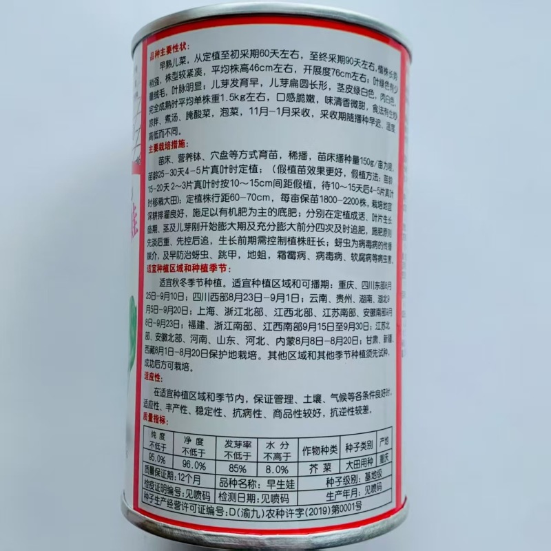 丁家儿菜种子早生娃儿菜种子早熟儿芽扁圆形茎皮白绿色口感脆