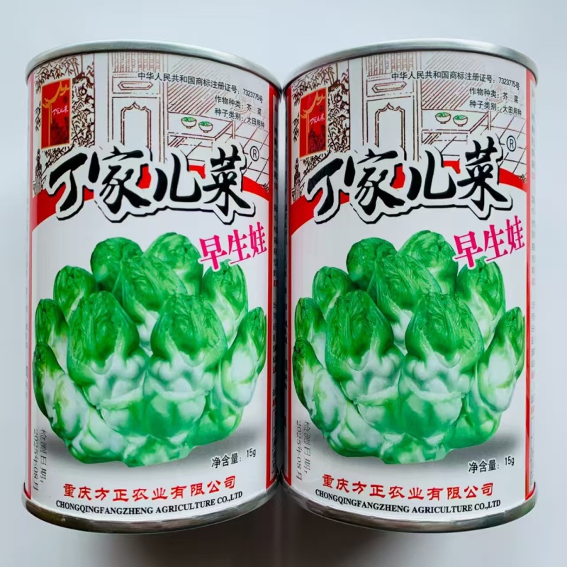 丁家儿菜种子早生娃儿菜种子早熟儿芽扁圆形茎皮白绿色口感脆