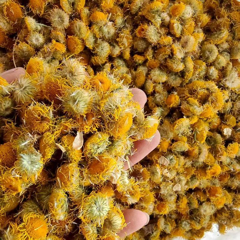 山东精品旋覆花