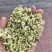 山东精品药用槐花统货