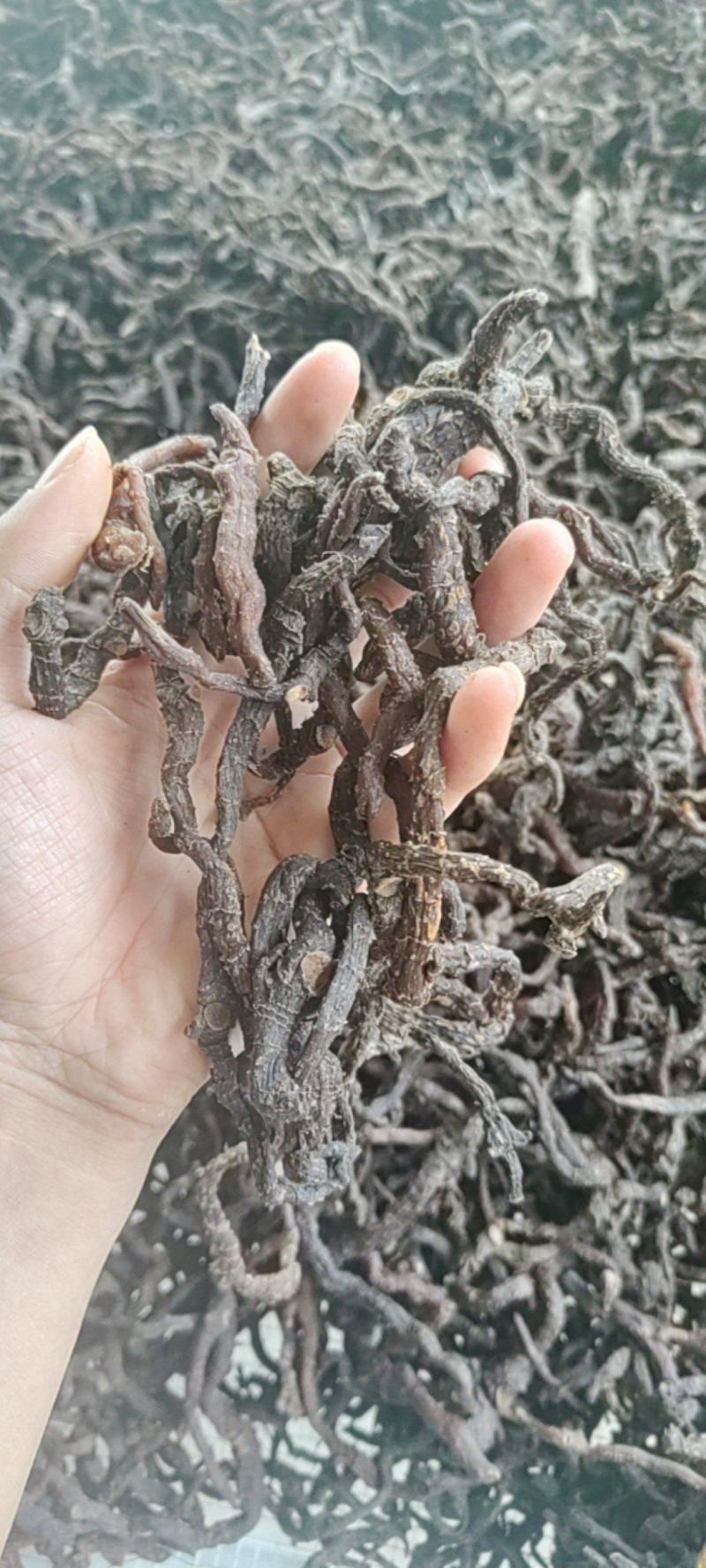 玉竹九蒸九晒玉竹黄精野生玉竹即食软糯香甜