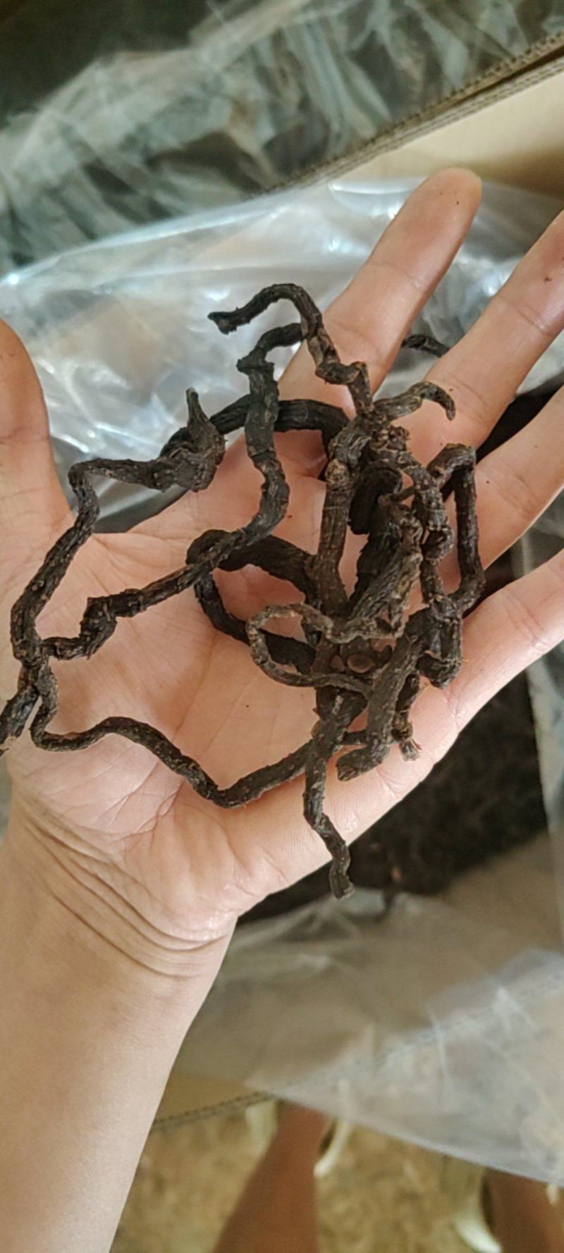 玉竹九蒸九晒玉竹黄精野生玉竹即食软糯香甜