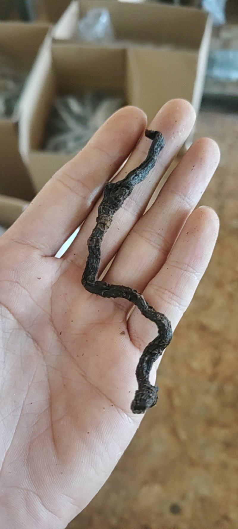 玉竹九蒸九晒玉竹黄精野生玉竹即食软糯香甜