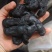 细叶姜形黄精新鲜统货种茎选货河南伏牛冬季倒苗