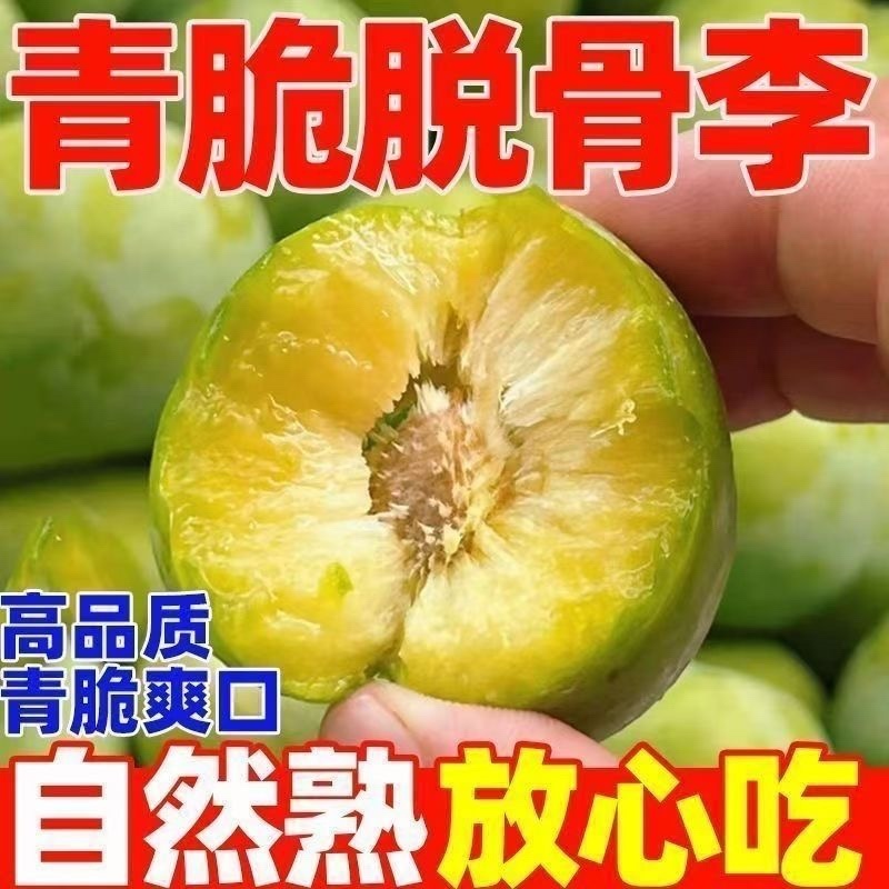 青脆李子/四川李子/脱骨李子/青李子