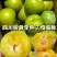 青脆李子/四川李子/脱骨李子/青李子
