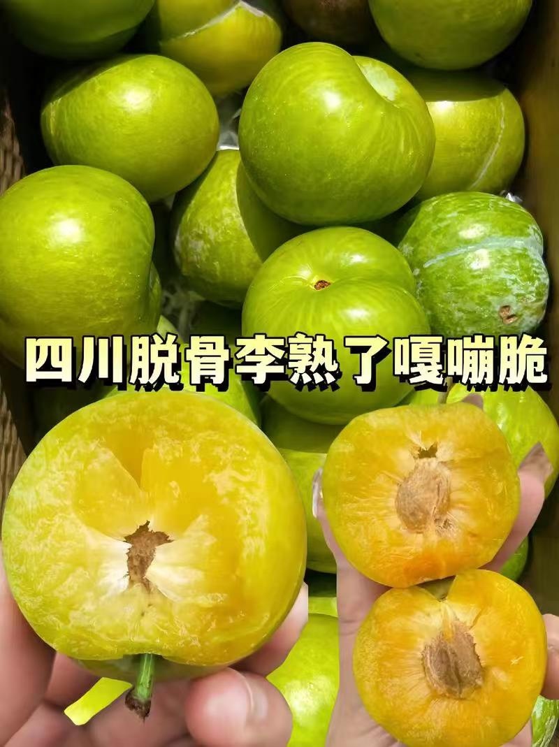 青脆李子/四川李子/脱骨李子/青李子