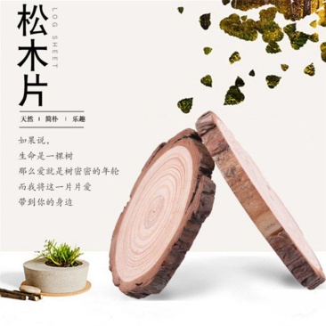 沙盘材料摆设小木桩圆木片diy手绘装饰木片松木片木头拍