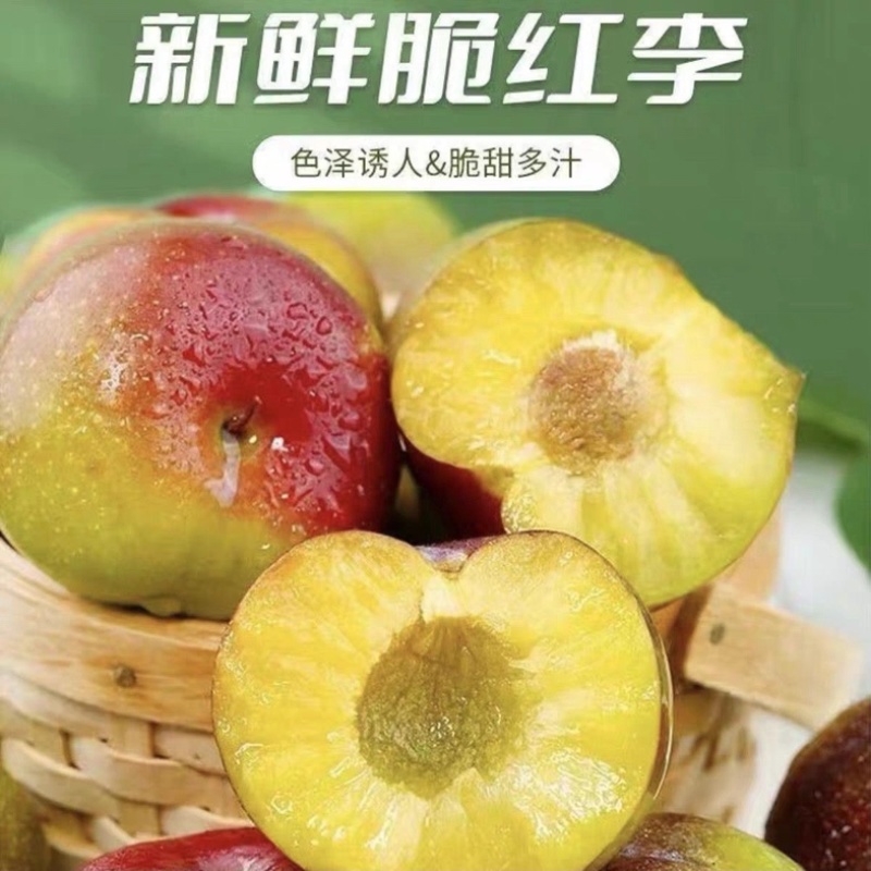 脆红李子/四川达州李子/脱骨李子/红脆李子