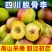 脆红李子/四川达州李子/脱骨李子/红脆李子
