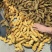 【接电商】水洗姜巴小块姜干净的直接可以发电商做加工做餐饮酒店