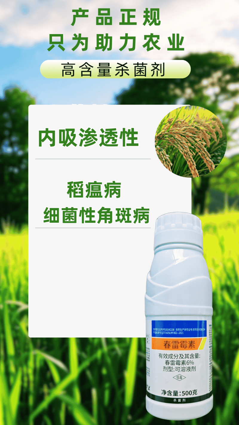 6%春雷霉素杀菌剂细菌病害稻瘟病细菌性角斑病高含量500