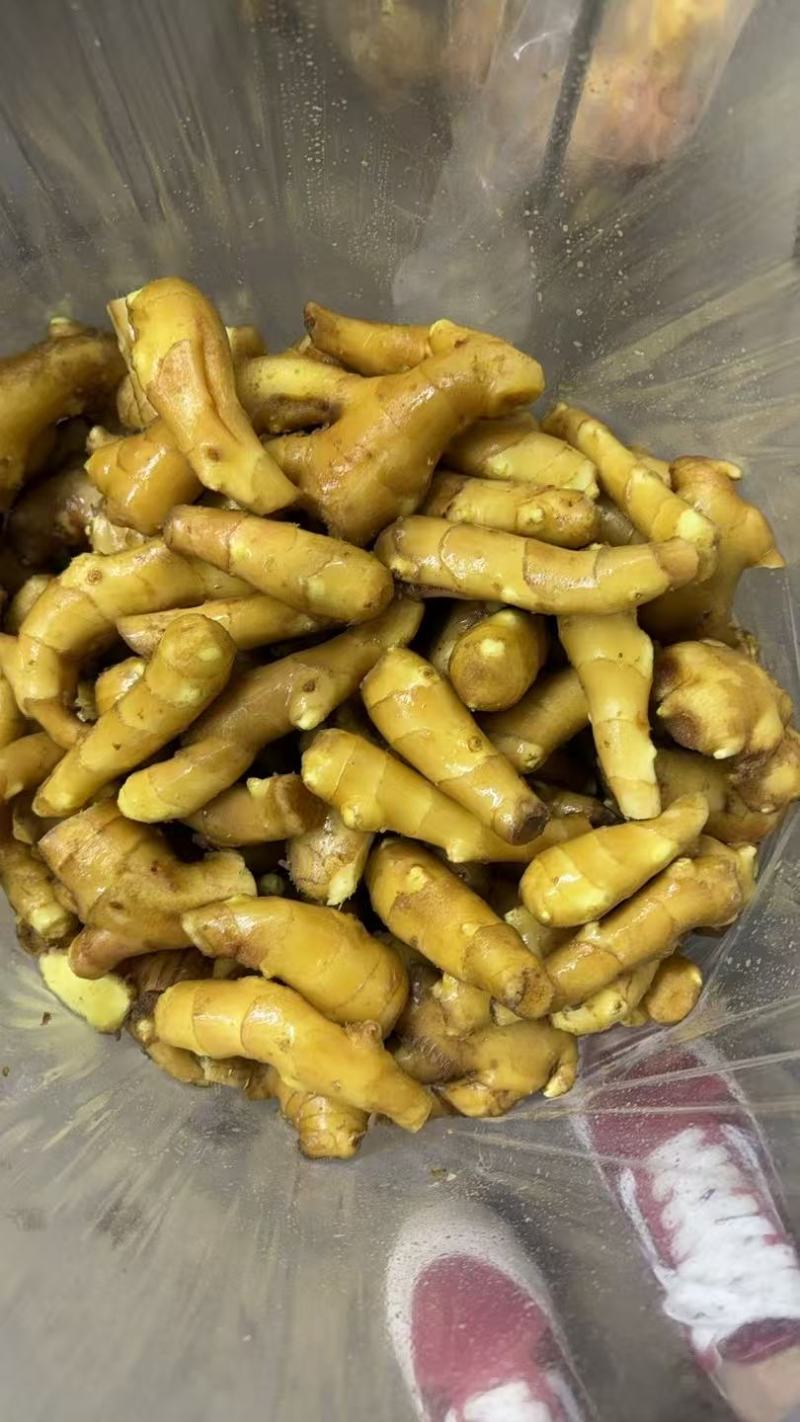 【接电商】水洗姜巴小块姜干净的直接可以发电商做加工做餐饮酒店