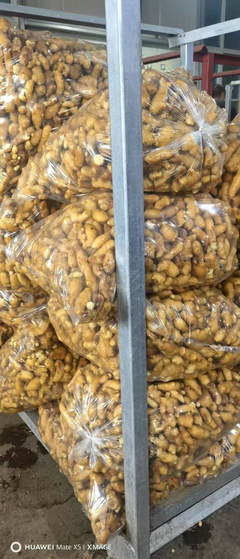 【接电商】水洗姜巴小块姜干净的直接可以发电商做加工做餐饮酒店