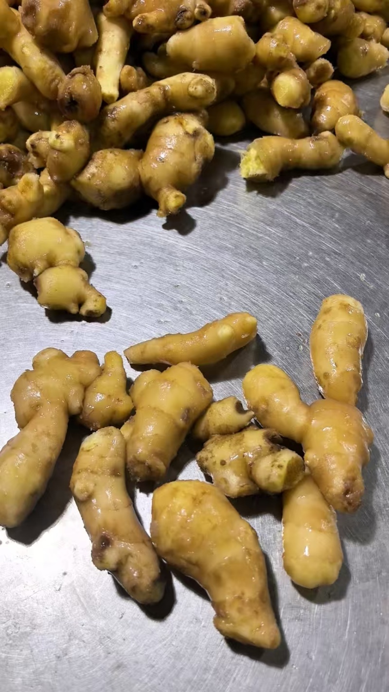 【接电商】水洗姜巴小块姜干净的直接可以发电商做加工做餐饮酒店