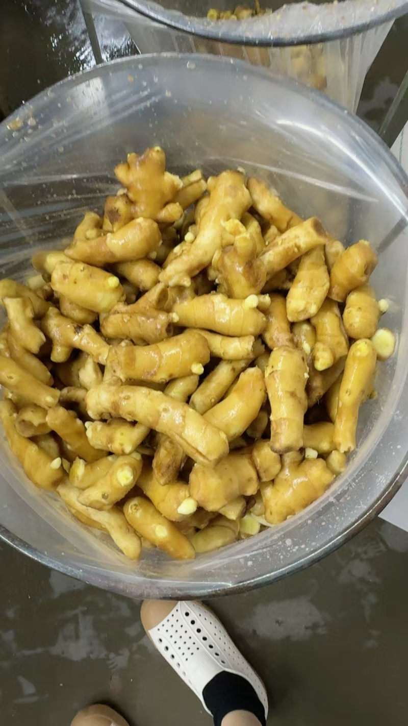 【接电商】水洗姜巴小块姜干净的直接可以发电商做加工做餐饮酒店