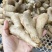 【接电商】水洗姜巴小块姜干净的直接可以发电商做加工做餐饮酒店