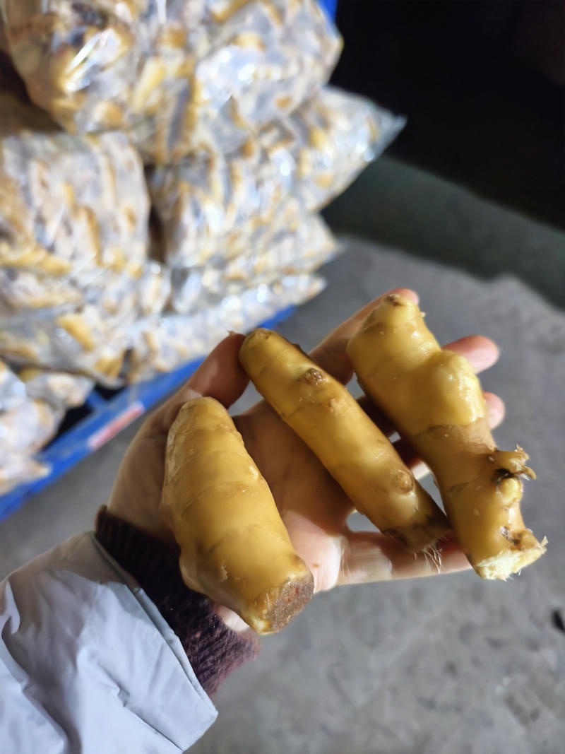 【接电商】水洗姜巴小块姜干净的直接可以发电商做加工做餐饮酒店