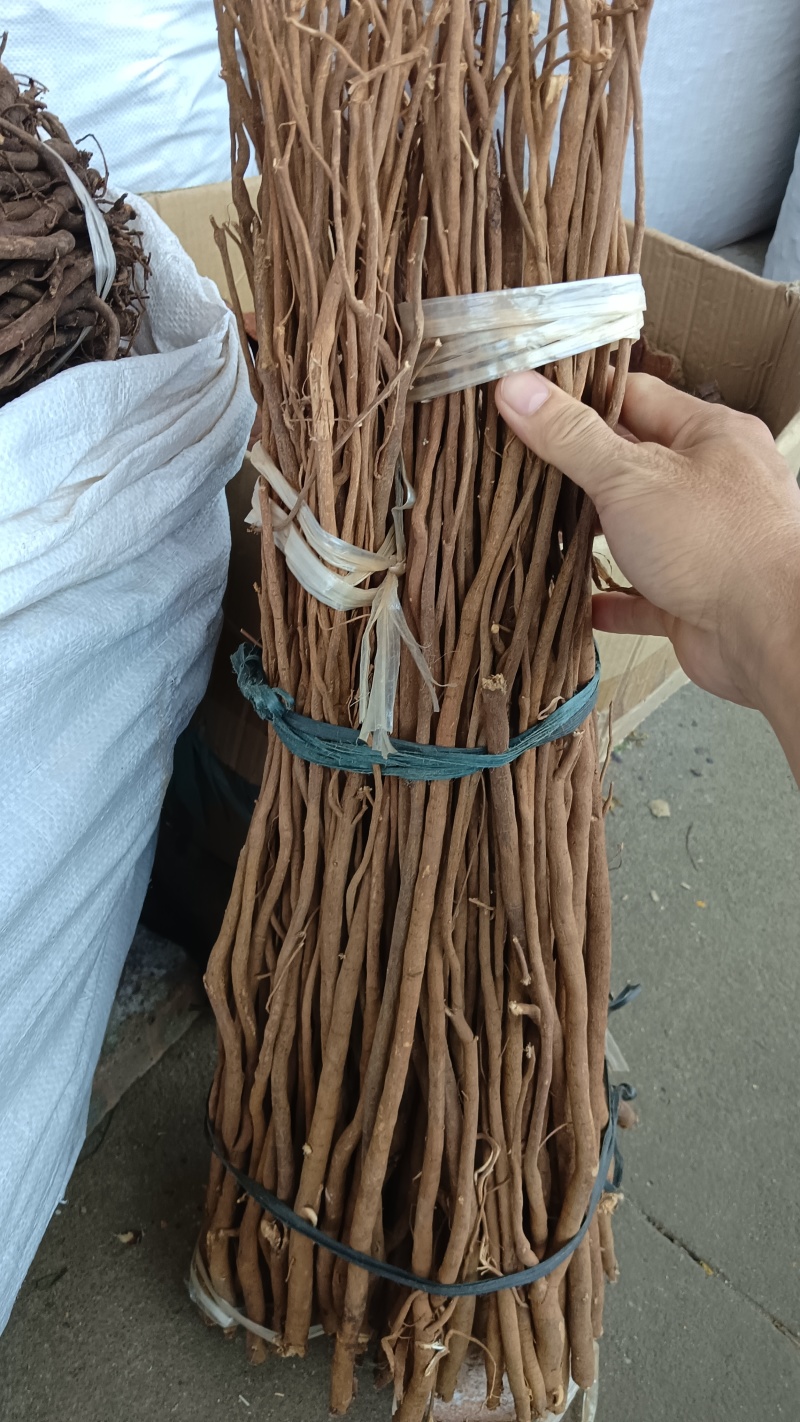 千斤拔（野生中药材）品质保证，欢迎老板来电咨询