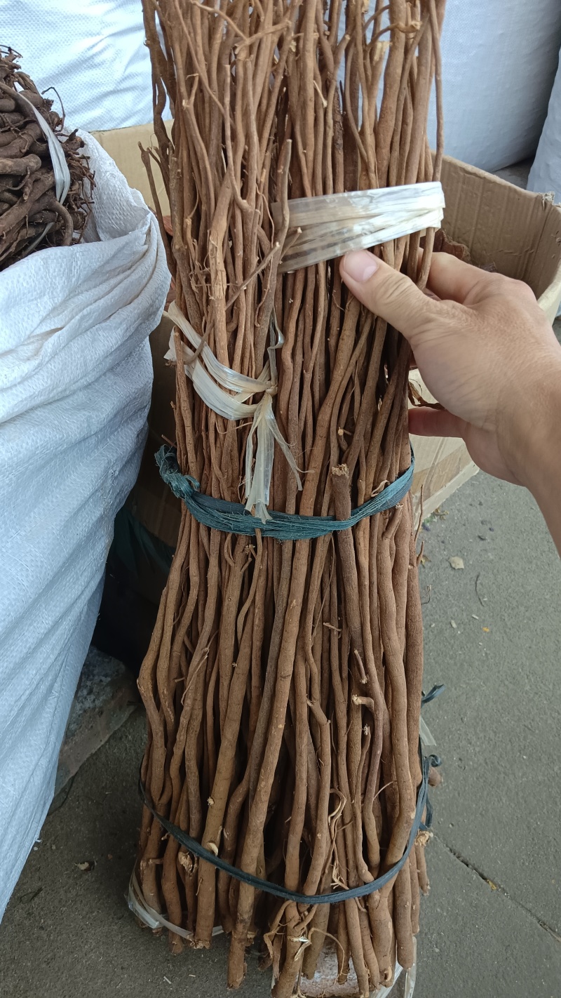千斤拔（野生中药材）品质保证，欢迎老板来电咨询