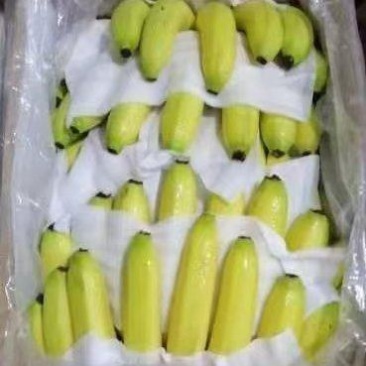 香蕉