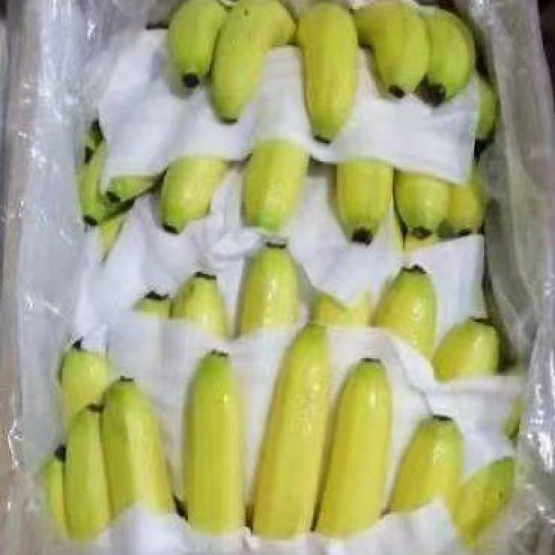 香蕉