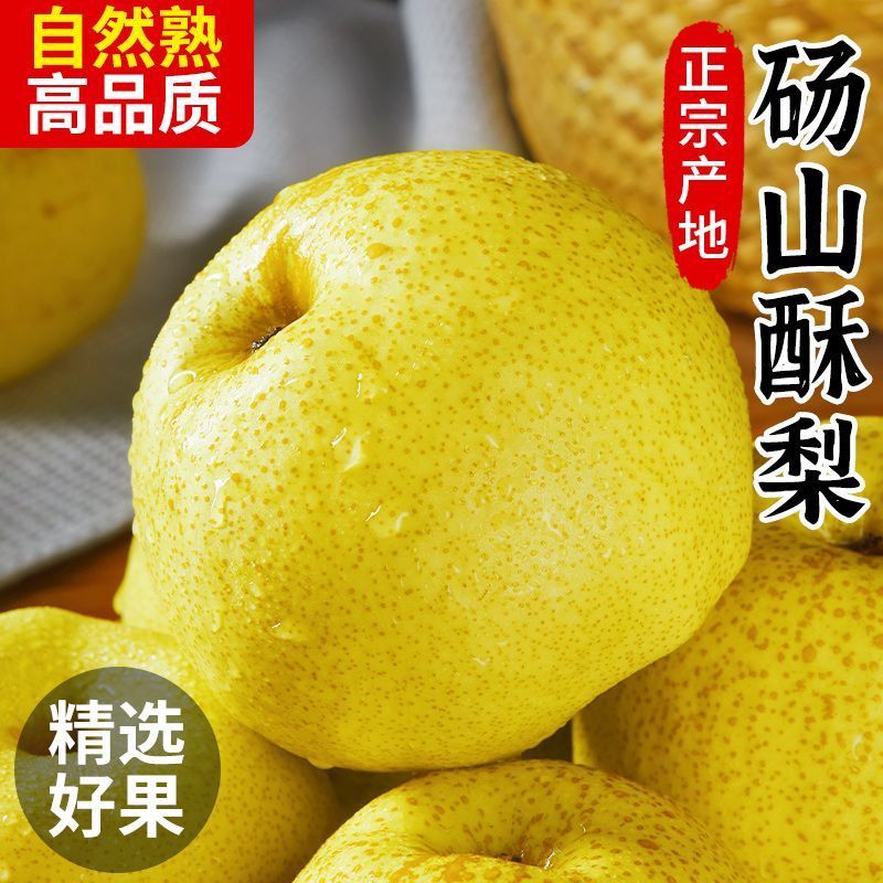正宗砀山酥梨整箱批发多汁当季薄皮新鲜现摘砀山梨一整箱梨子