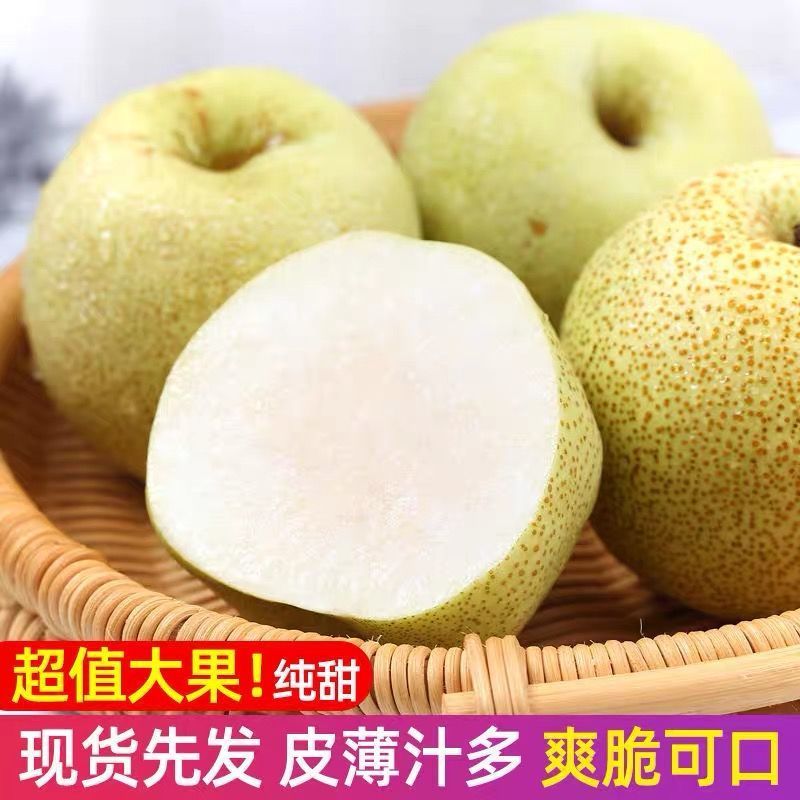 正宗砀山酥梨整箱批发多汁当季薄皮新鲜现摘砀山梨一整箱梨子