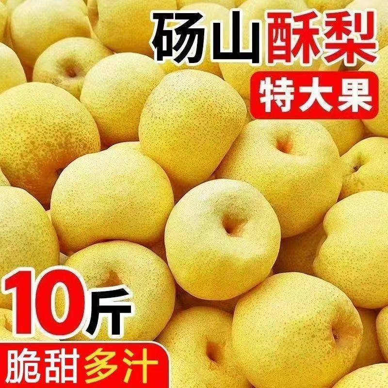 正宗砀山酥梨整箱批发多汁当季薄皮新鲜现摘砀山梨一整箱梨子