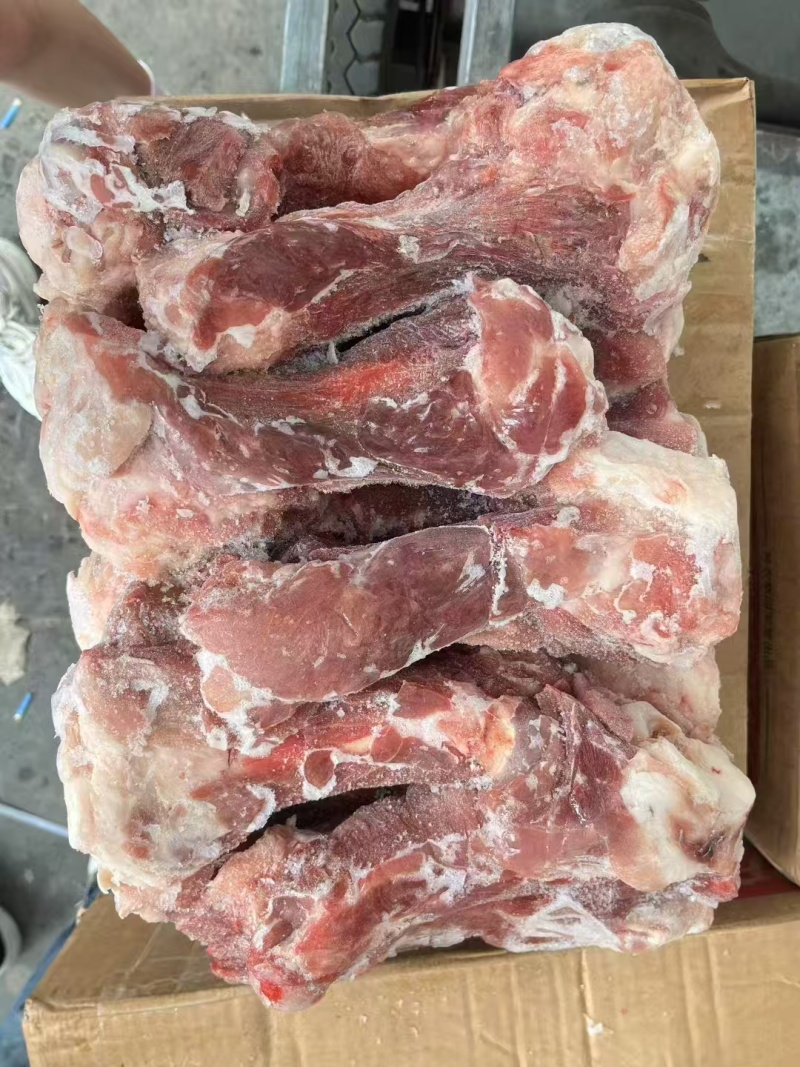 后帮骨