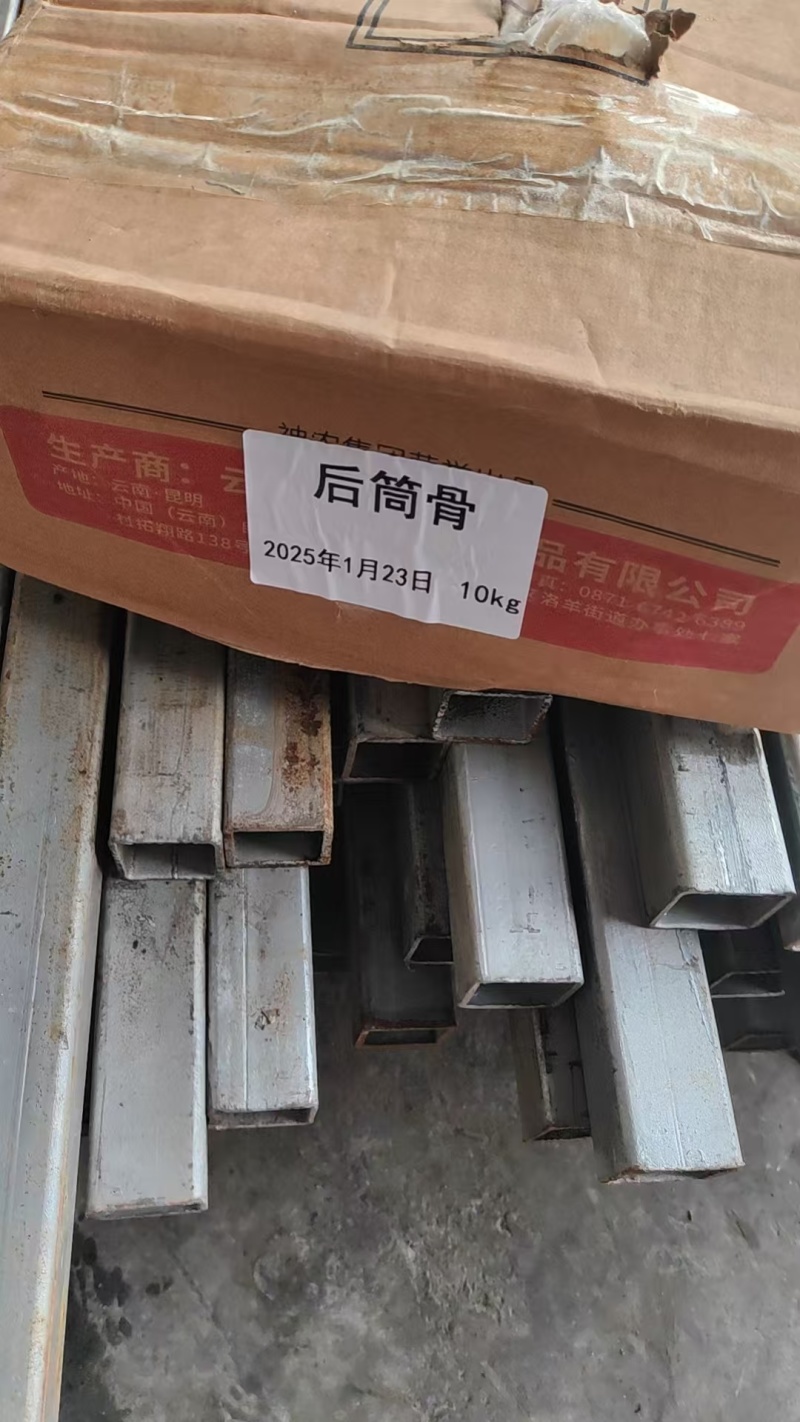后帮骨