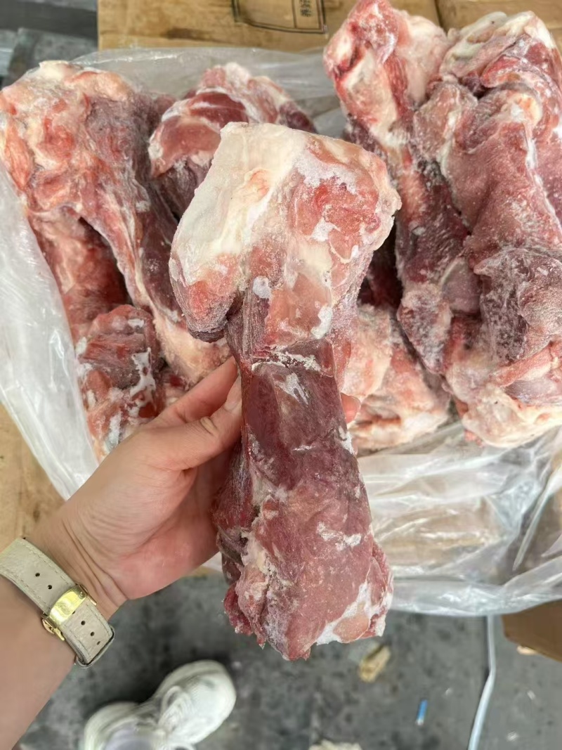 后帮骨