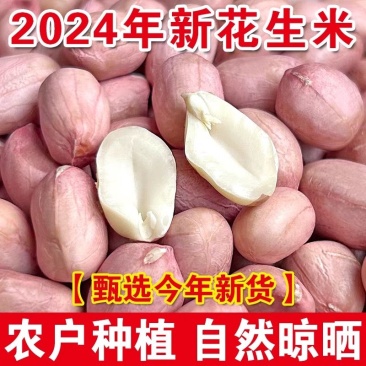 白沙花生米水分9-10无土无沙无霉变无坏颗粒质量保证