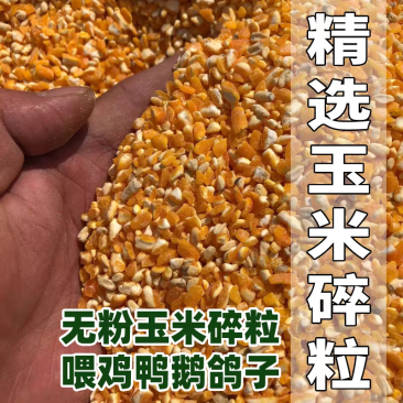 碎玉米粒水分9-10容重690以上无土无沙无霉变袋装