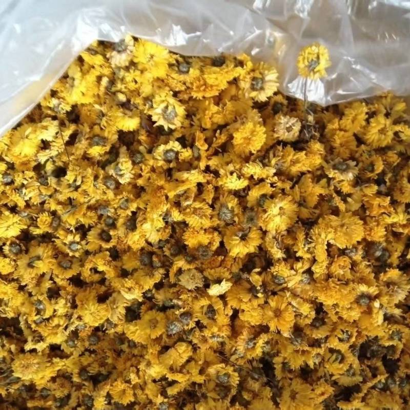 菊花茶，安徽亳州产地直供保质保量量大从优