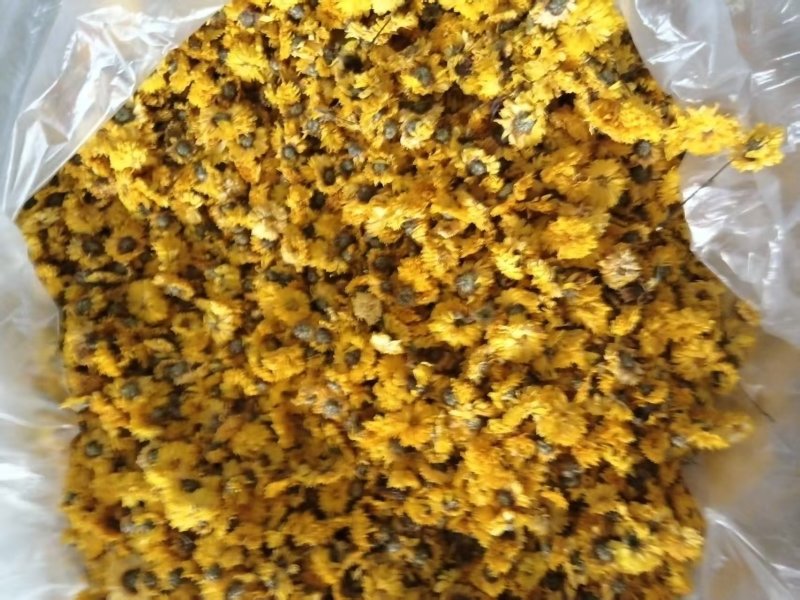 菊花茶，安徽亳州产地直供保质保量量大从优