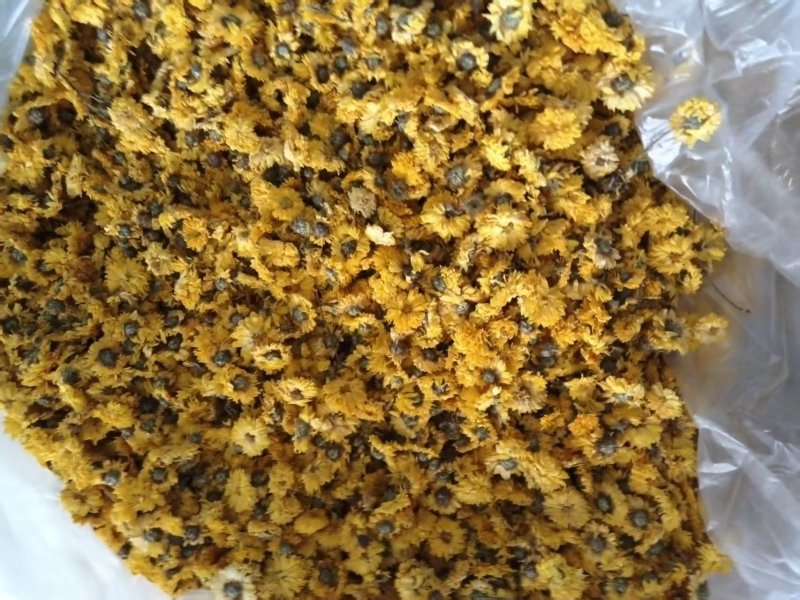 菊花茶，安徽亳州产地直供保质保量量大从优